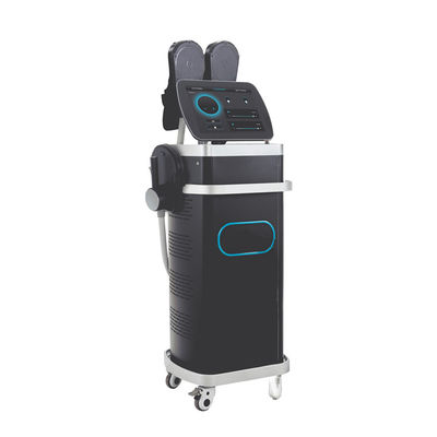 Precio de la máquina Ems Máquina de escultura corporal / RF Electromagnética