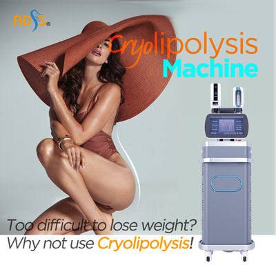360 Cryolipolysis que adelgaza la máquina de la cavitación del vacío de la máquina 3000W con 4 manijas